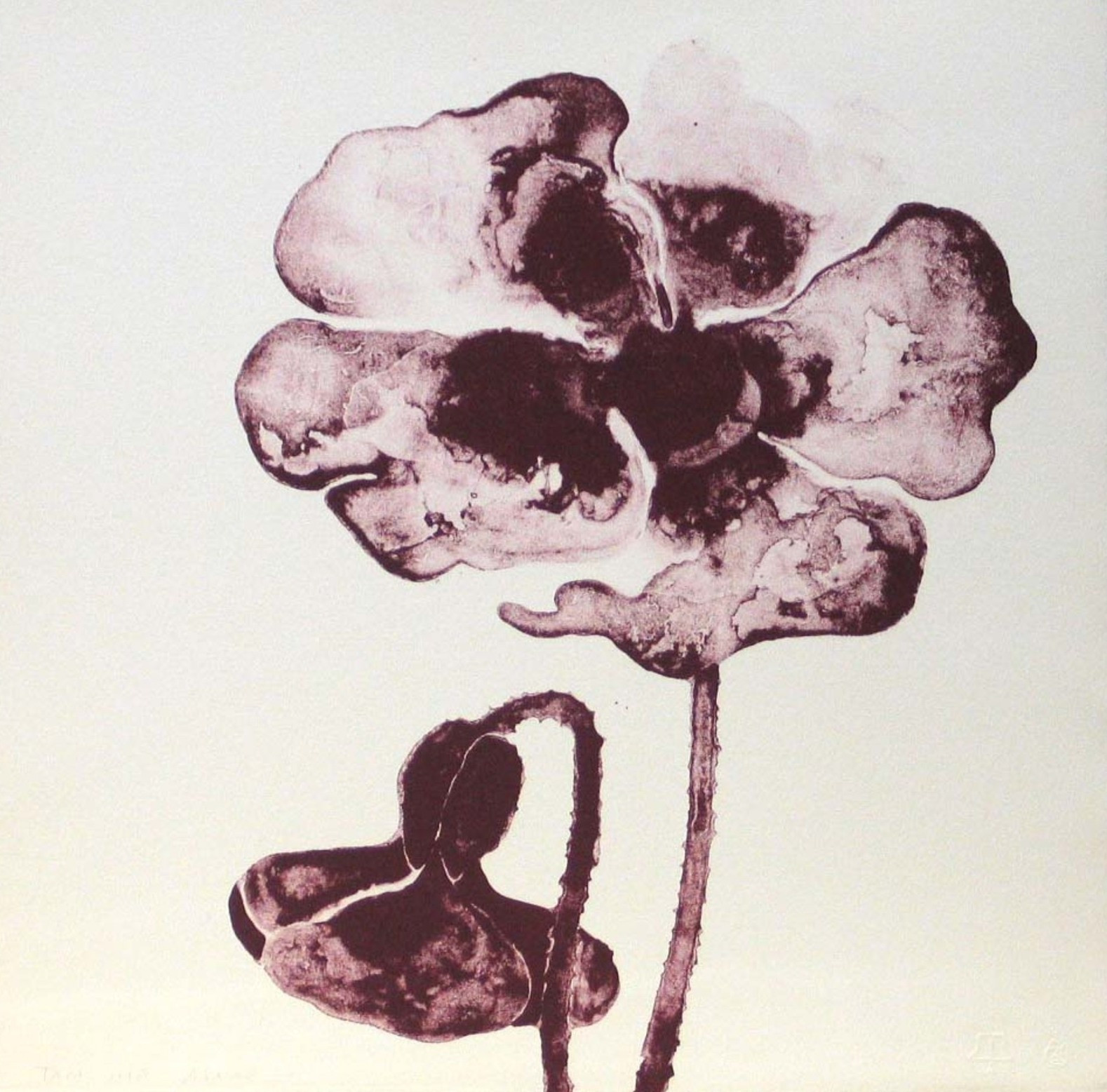 Ruth Asawa. Untitled from Flowers. 1965. One from a portfolio of twelve lithographs (including title page and colophon). Tamarind Lithography Workshop, Inc., Los Angeles. proof outside the edition of 20. Gift of Kleiner, Bell & Co. © Estate of Ruth Asawa.